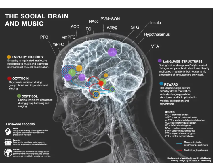 La música nos conecta con nuestra humanidad 2 musica conecta humanidad 740x566 1