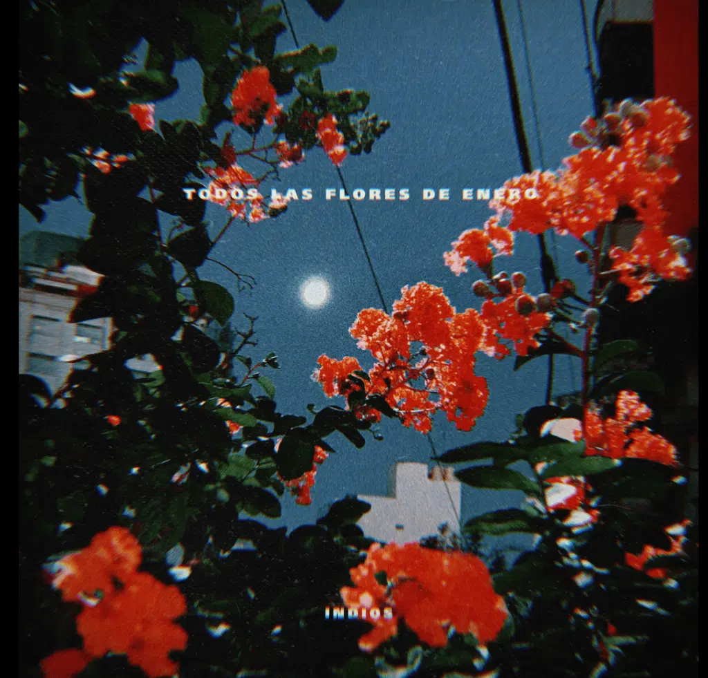 INDIOS presenta su nuevo single digital: “TODAS LAS FLORES DE ENERO” pagina TR 7 1