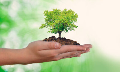 medio ambiente 1