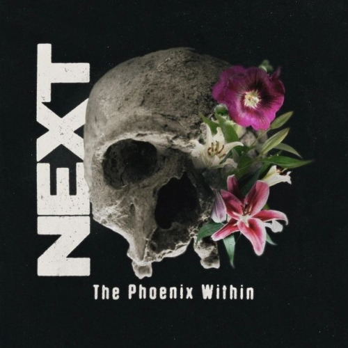 207447 the phoenix within release next the intense metal track addresses the harsh reality of gun