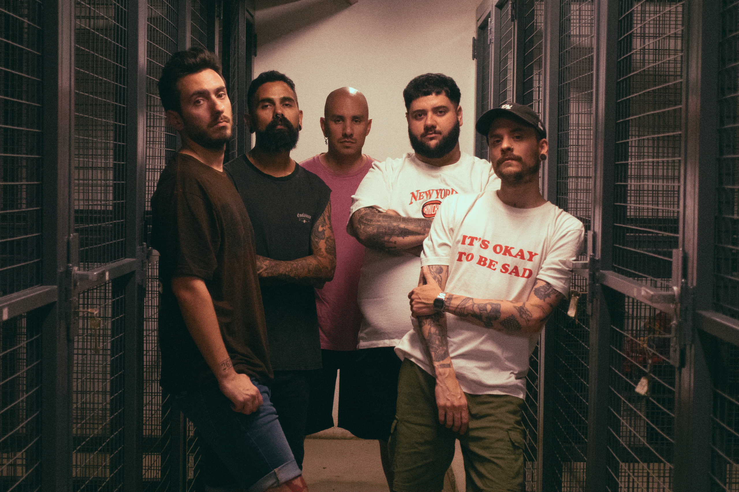 cardinals fotos nico 02 scaled