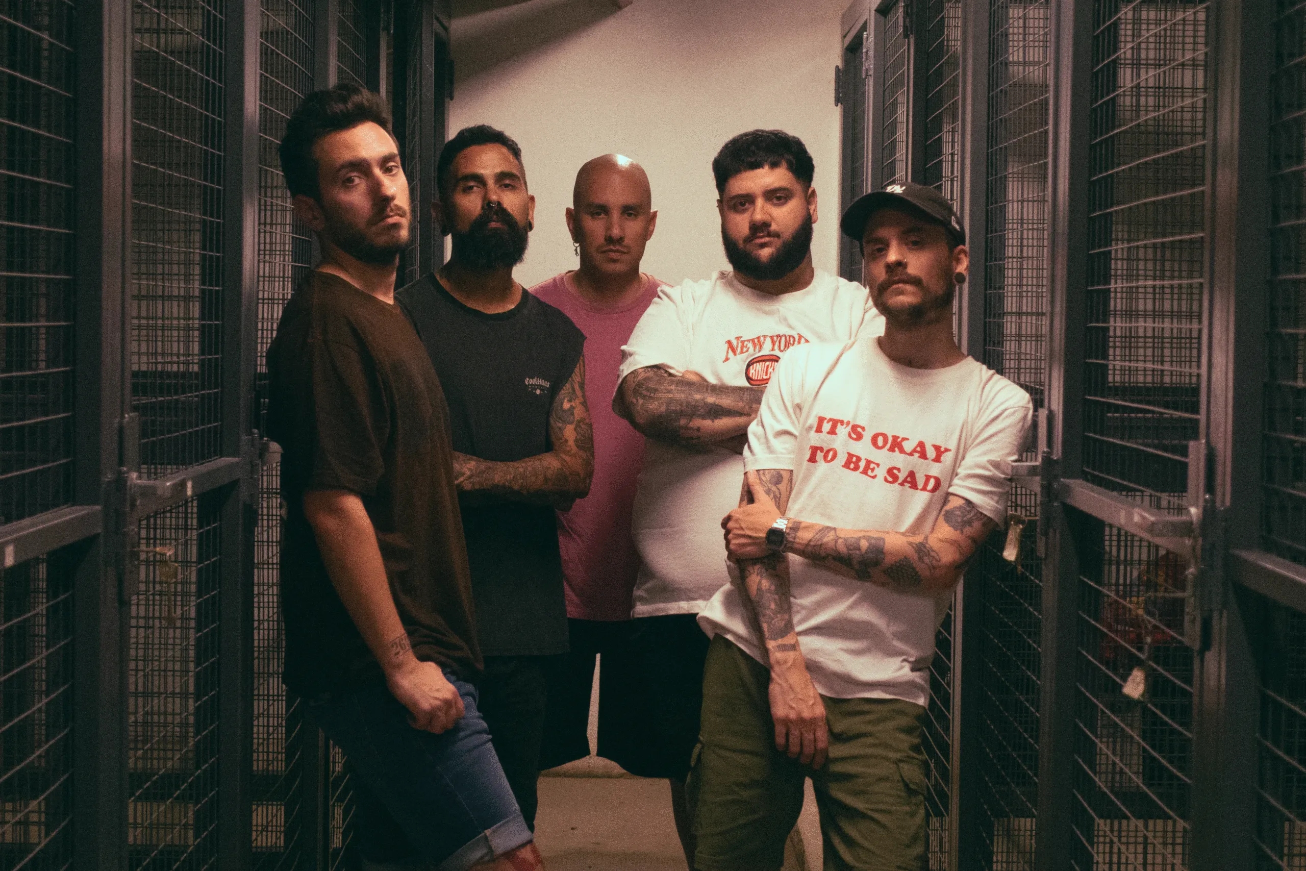 cardinals fotos nico 02 scaled